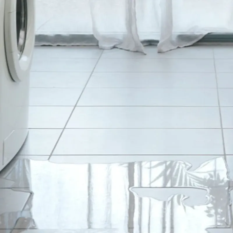 Appliance Leak Cleanup in Tualatin, OR